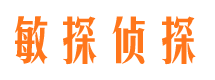 共和市调查公司